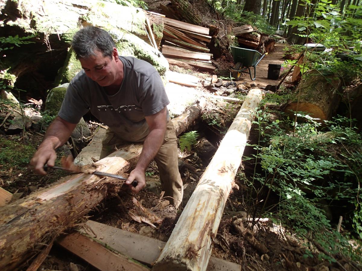 mountain bike trail construction